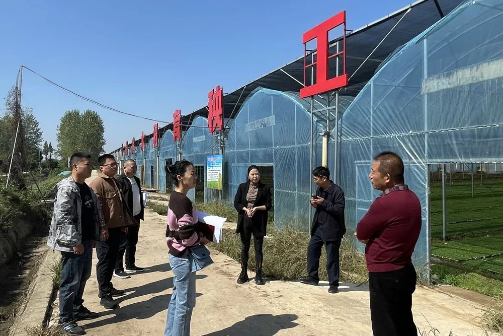 市级生态文明建设示范镇村创建工作组来西洞庭进行现场核查