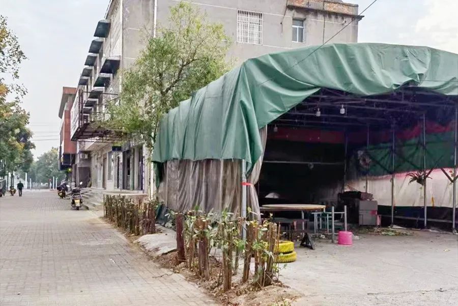 【国家卫生城镇创建】龙泉街道育才社区：修剪树枝除隐患，安全美化两不误