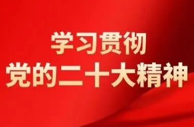 【学习贯彻党的二十大精神】金凤街道清水塘社区、中洲社区：以党建为引领 全力推动“一城一园一区”建设