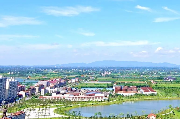 【疫情防控 西洞庭在行动】责任上肩 措施落地，各部门筑起防疫铜墙铁壁