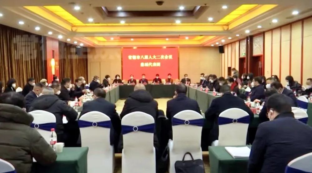 【常德市第八届人民代表大会第二次会议】余怀民参加鼎城代表团审议，区党委书记刘爱军进行发言