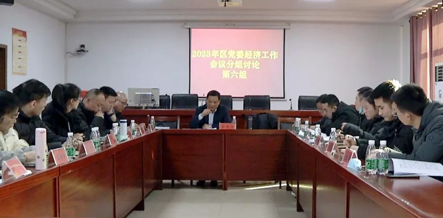 【踔厉奋发 勇毅前行】学习经济工作报告：谈海波参加第六组分组讨论