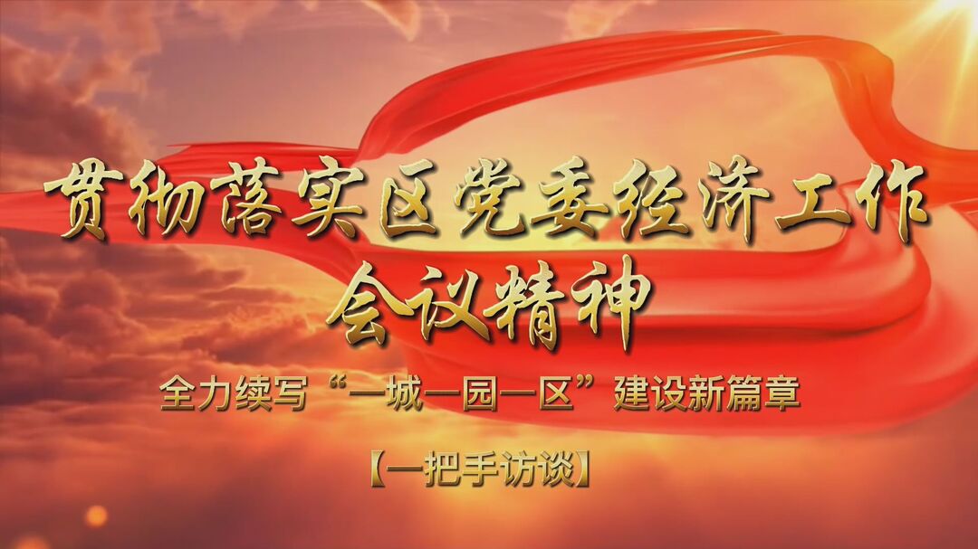 【贯彻落实区党委经济工作会议精神·一把手访谈】区政法委：真抓实干、砥砺前行 努力为西洞庭高质量发展创造安全稳定的社会环境