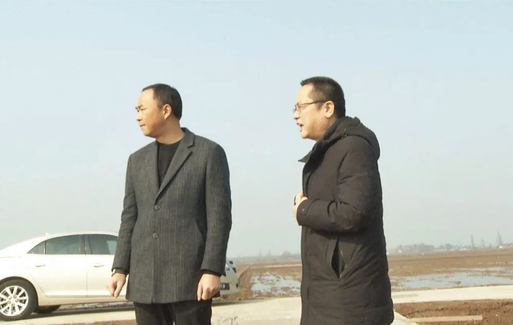 郭蕾督导调研高标准农田建设项目