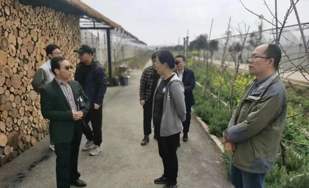 国家农业农村发展研究院来西调研农垦国有农用地经营管理工作