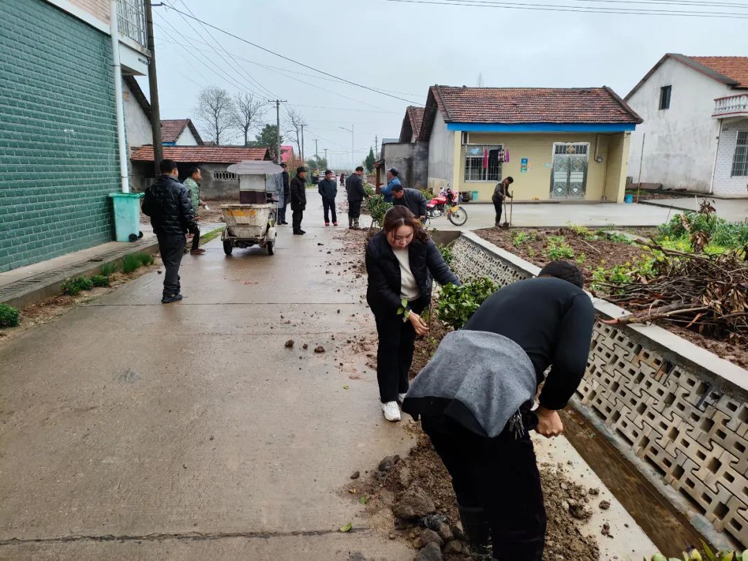 望洲社区：我为群众办实事 植树添绿美化家园