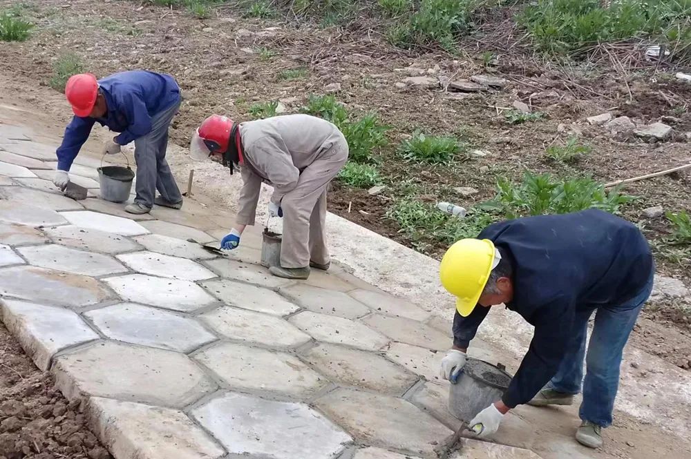 区应急管理局（水利局）：推进排涝能力建设 助力经济社会高质量发展