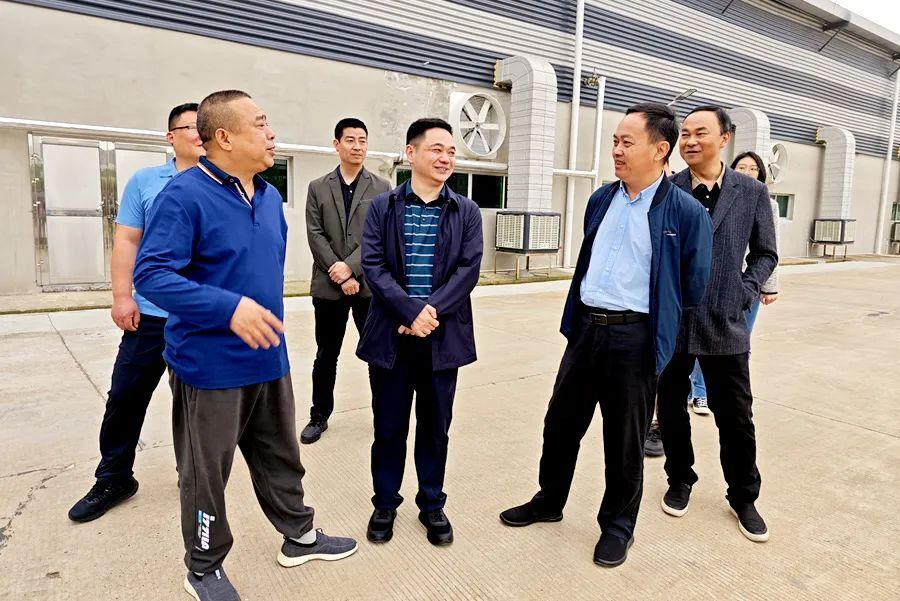 【创新突破 产业突围】李智勇率第二专项小组走访调研园区企业并召开座谈会