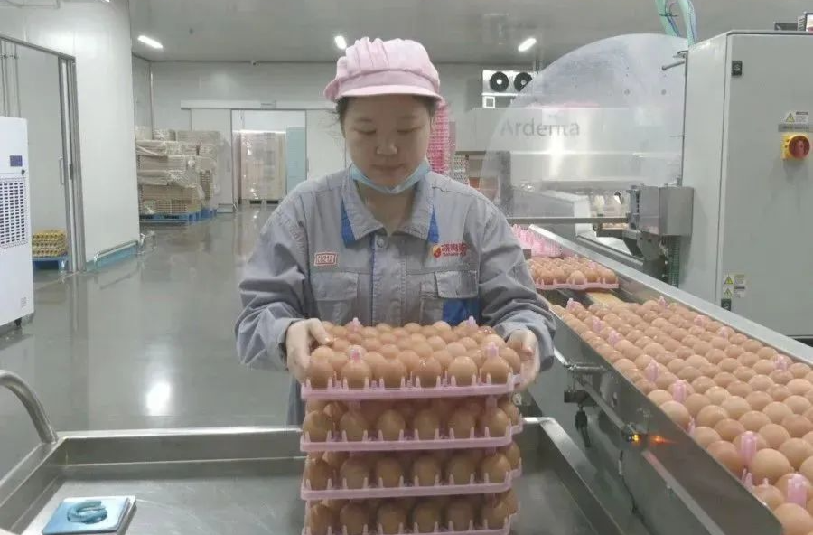 【中国梦•劳动美——凝心铸魂跟党走 团结奋斗新征程】西洞庭工匠周蓉：努力成为“不可取代的”质检员