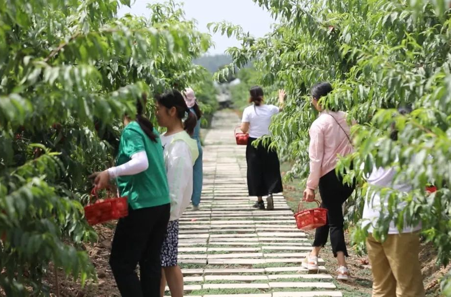 西洞庭：文旅产业带动乡村振兴
