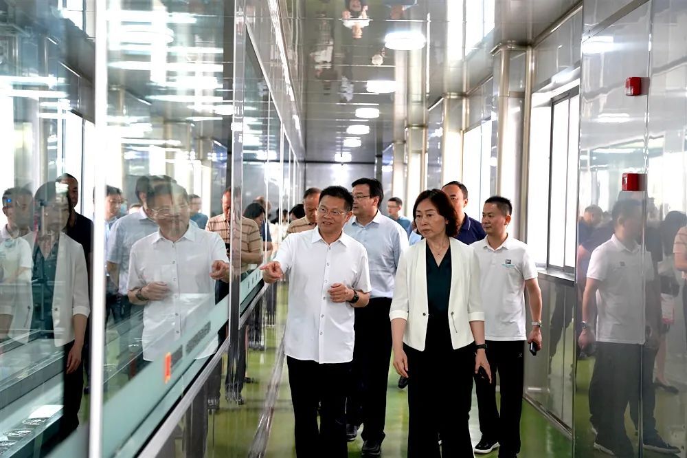 市政协副主席陈华带队赴西洞庭督办重点提案