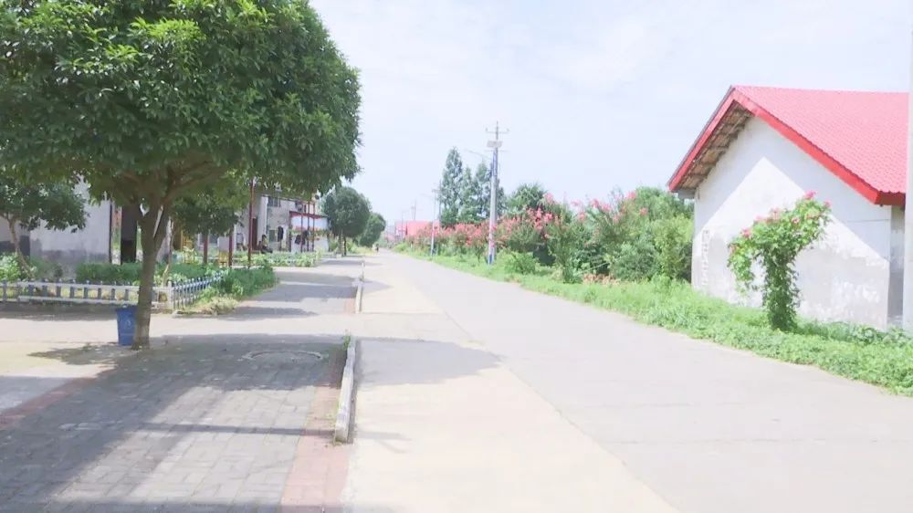 金凤街道中洲社区：人居环境整治再发力 社区容貌展新颜