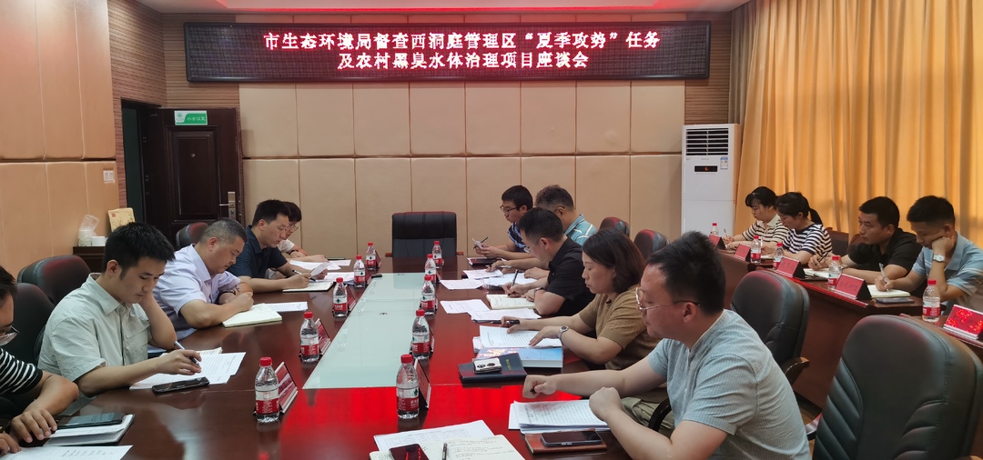 市生态环境局领导来我区督查“夏季攻势”及中央农村黑臭水体治理试点项目