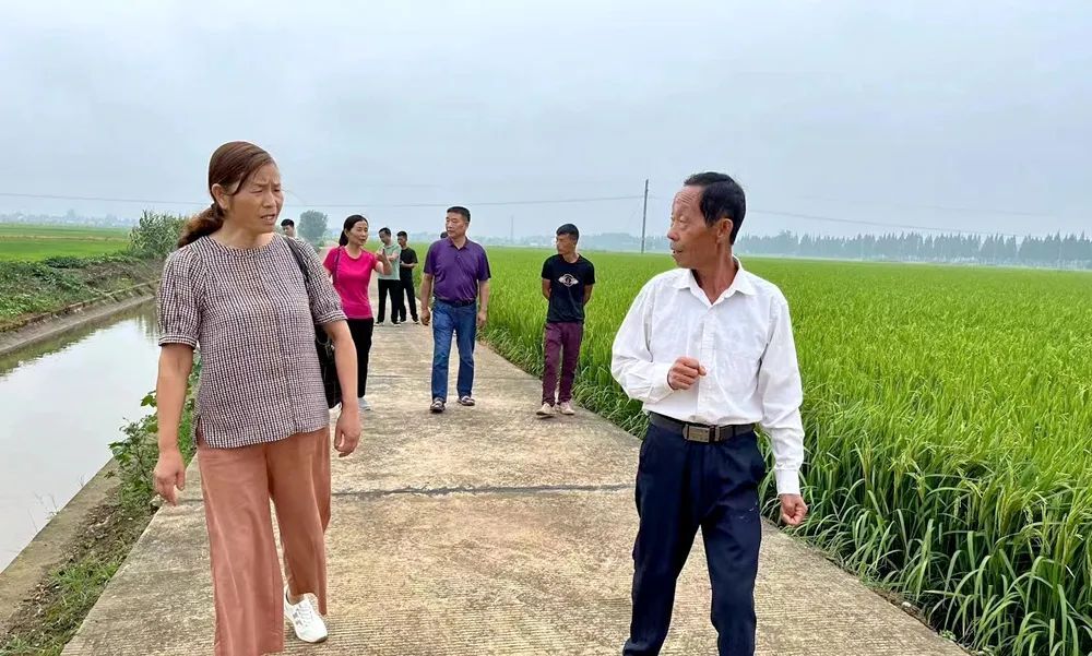 西洞庭管理区老科协：走进田间课堂 助力乡村振兴
