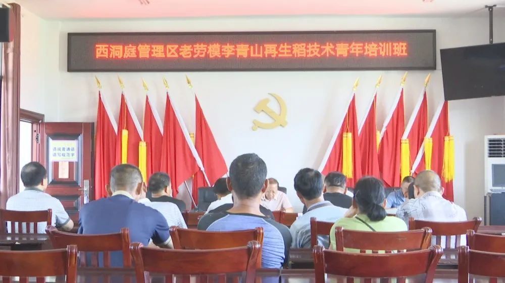 我区举办李青山再生稻技术青年培训班