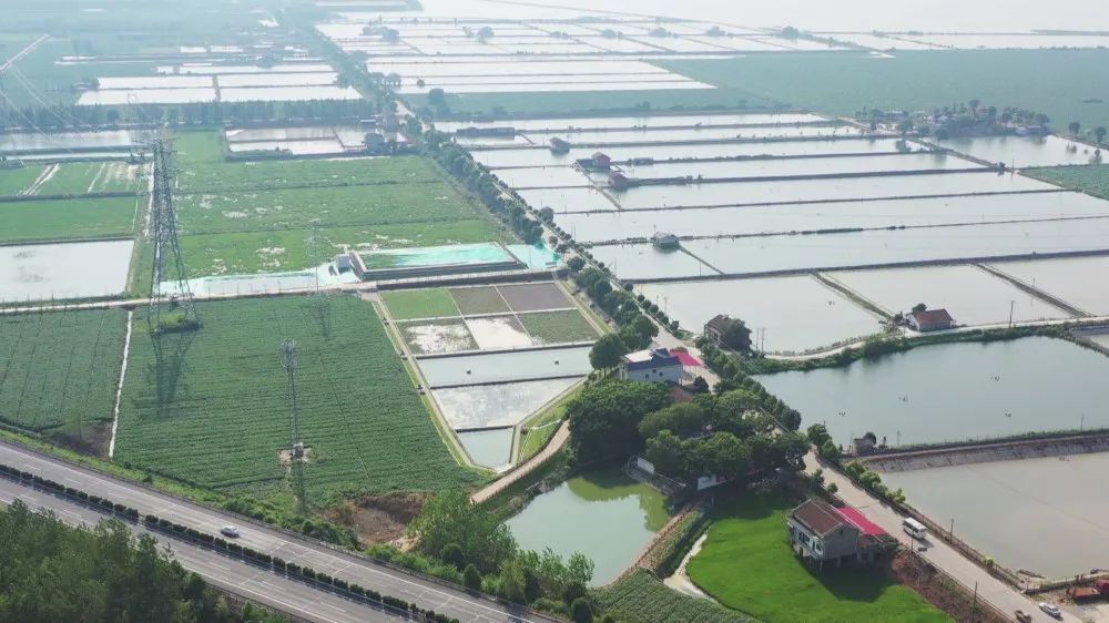 祝丰污水处理排水生态拦截与湿地建设项目正式完工