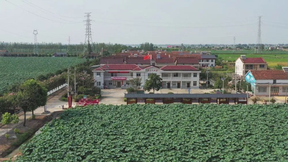 金凤街道白芷湖社区：多措并举 全力提升人居环境质量