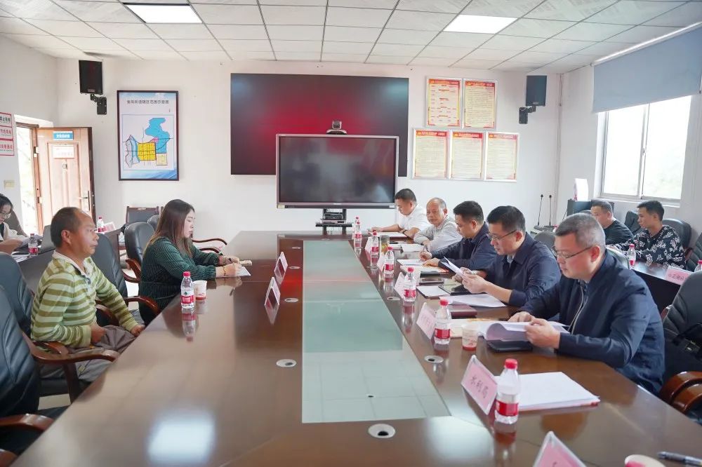 李智勇带队在金凤街道下沉接访