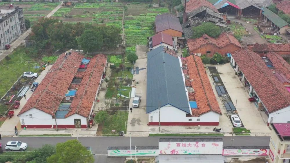 金凤街道望洲社区：同心同向同发力 美丽农村换新颜