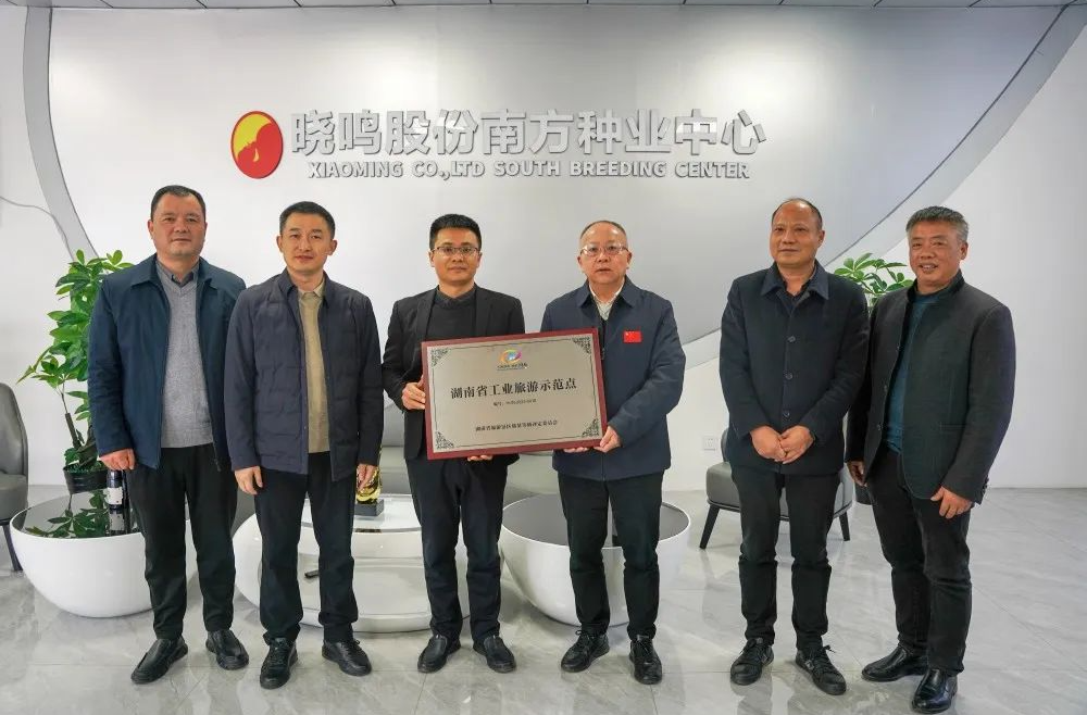 市文旅广体局来西洞庭开展沙河景区创3A验收评定工作