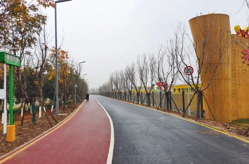 区交通局：打造高质量交通路网 全力推进区域交通中心建设
