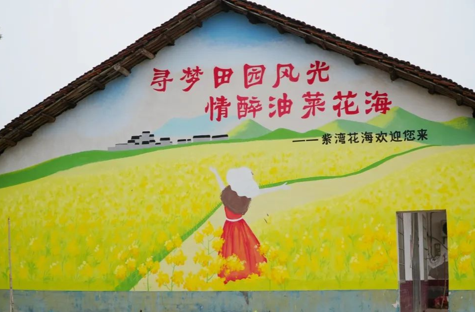 升温倒计时! 祝丰镇紫湾油菜花海网红打卡点景观设计紧锣密鼓筹备中~~~