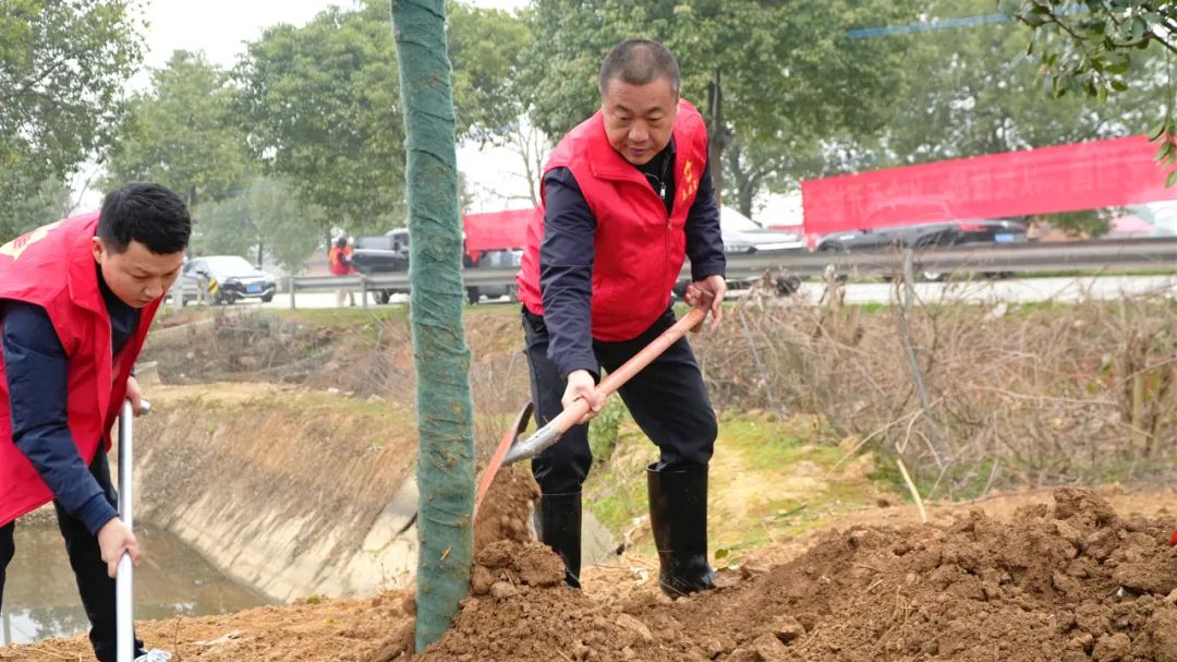 不负春光 为绿充“植”|西洞庭管理区组织开展植树活动