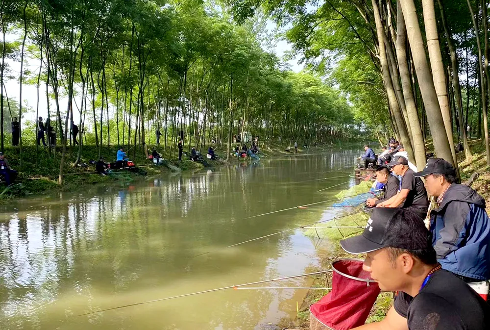龙泉街道举行“亲近氧吧 共享‘渔’乐”钓鱼比赛