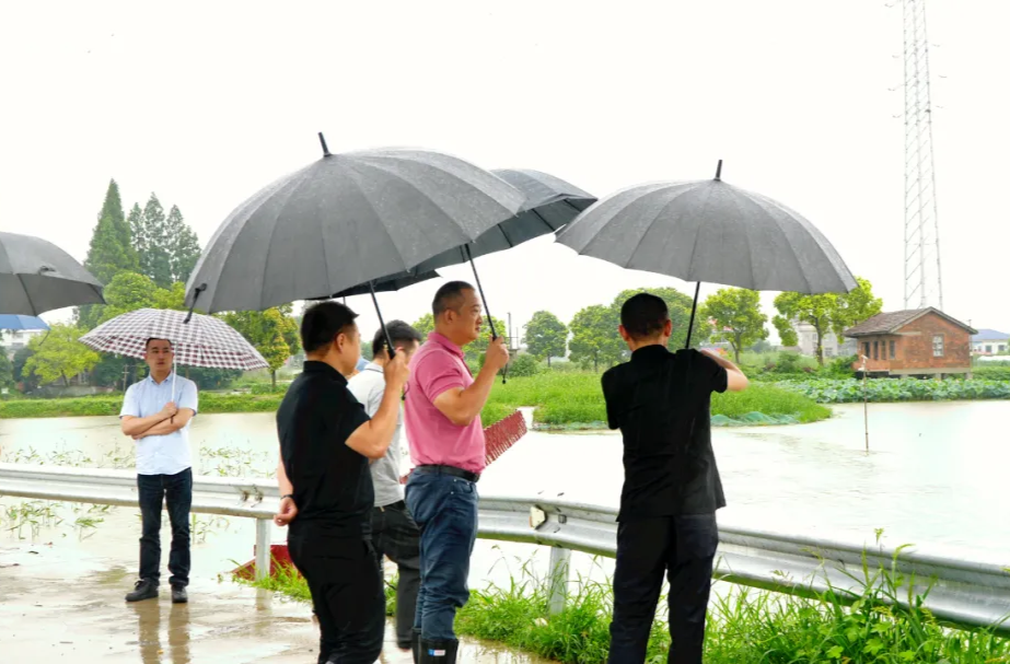以“迅”应“汛”西洞庭在行动｜强降雨来袭 王亮深入一线实地检查防汛工作