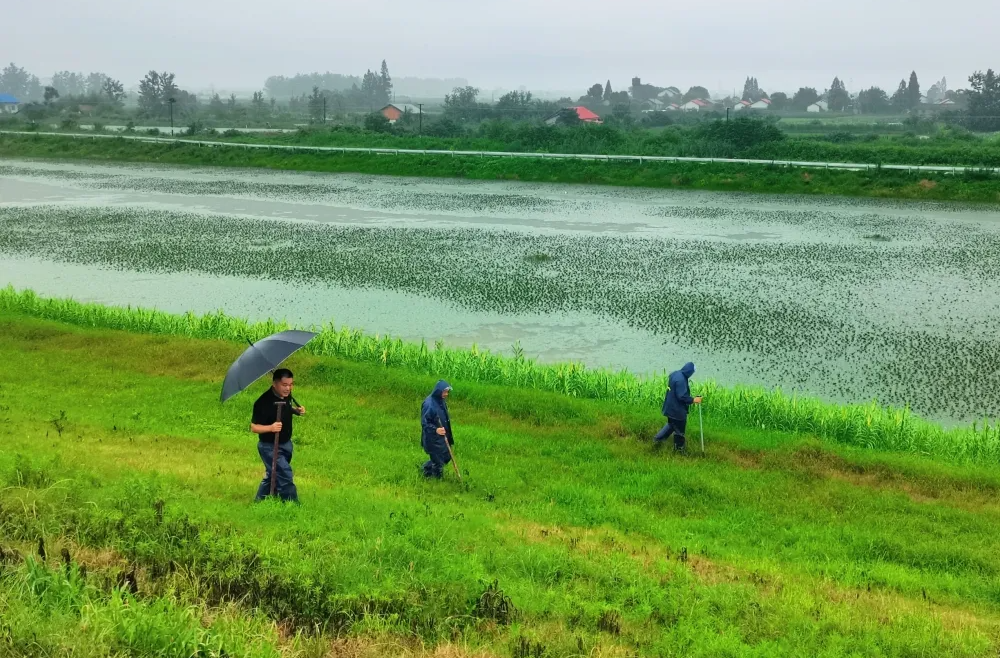 以“迅”应“汛”｜龙泉街道：“四个到位”筑起防汛“安全堤” 打好防汛备汛主动仗