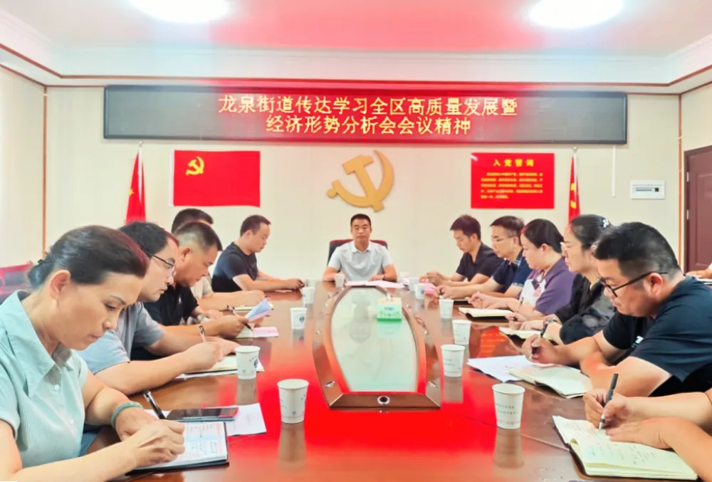龙泉街道召开传达学习全区高质量发展暨经济形势分析会