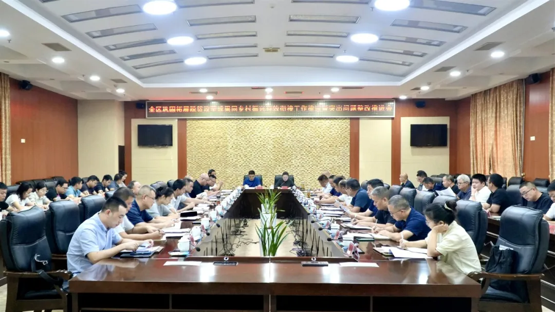 全区巩固拓展脱贫攻坚成果同乡村振兴有效衔接工作推进暨突出问题整改动员部署会召开