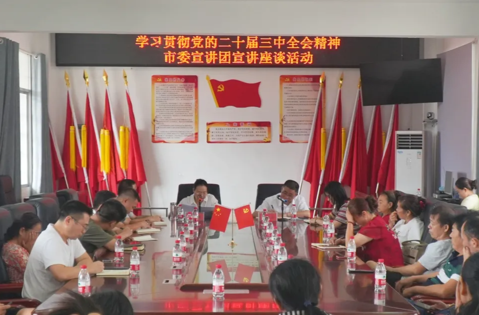 我区举行学习贯彻党的二十届三中全会精神市委宣讲团宣讲座谈会