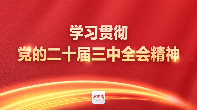 学习贯彻党的二十届三中全会精神