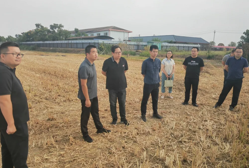 【为群众办实事】龙泉街道：“秸”尽全力·“秆”在实处 全面筑牢秸秆禁烧安全防线