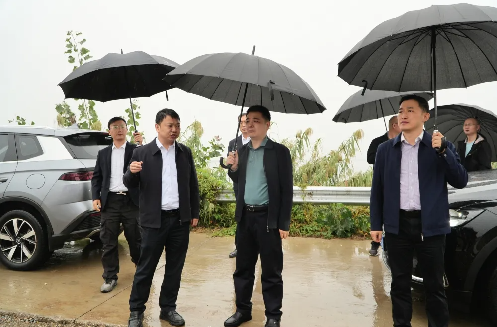 李智勇带队实地调研农投公司工作并召开座谈会