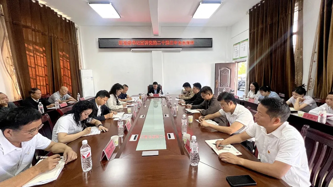 李智勇赴祝丰镇涂家湖村宣讲党的二十届三中全会精神并开展调研