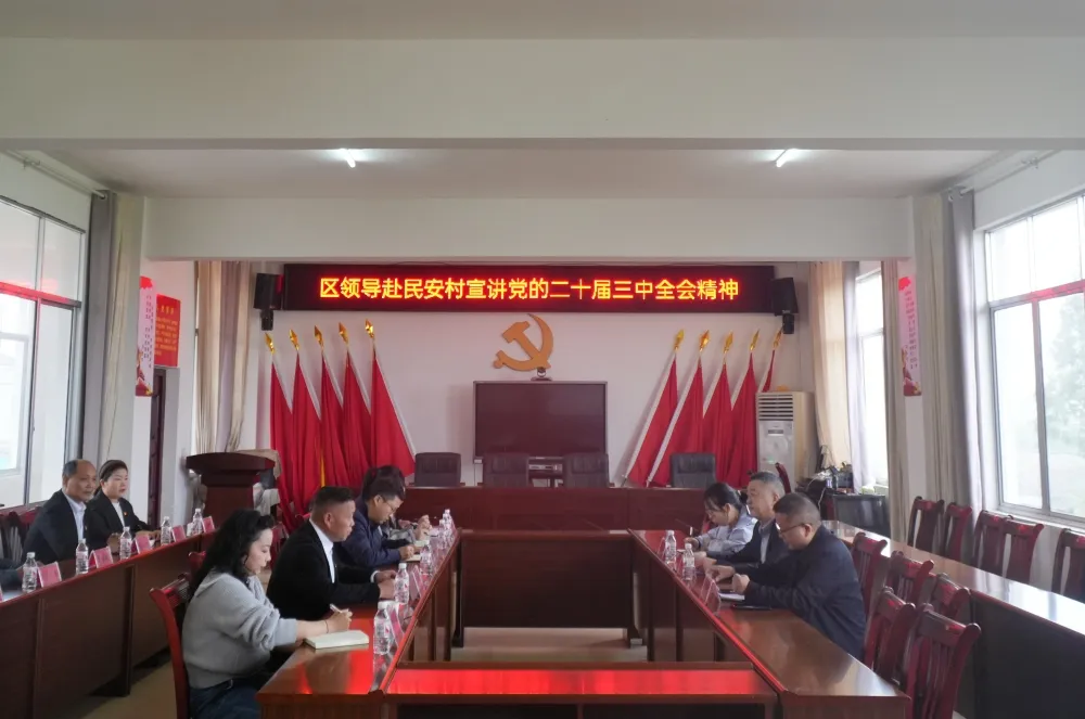 辛勤赴民安村宣讲党的二十届三中全会精神