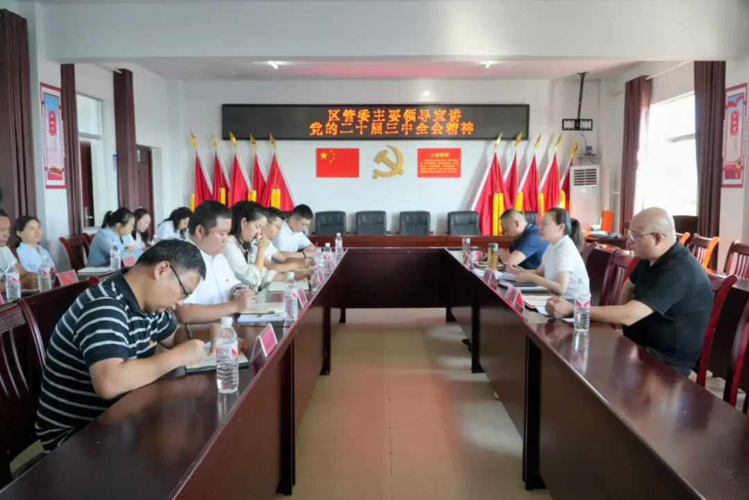 叶春华赴祝丰镇紫湾村宣讲党的二十届三中全会精神并开展调研