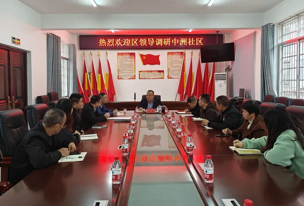 王亮赴中洲社区宣讲党的二十届三中全会精神并开展调研