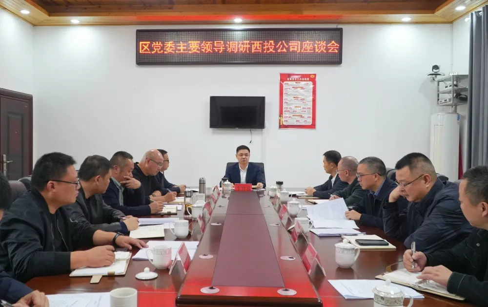李智勇调研西投公司并召开座谈会