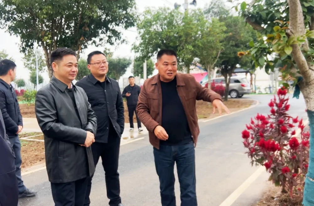 李智勇调研庭院经济建设情况