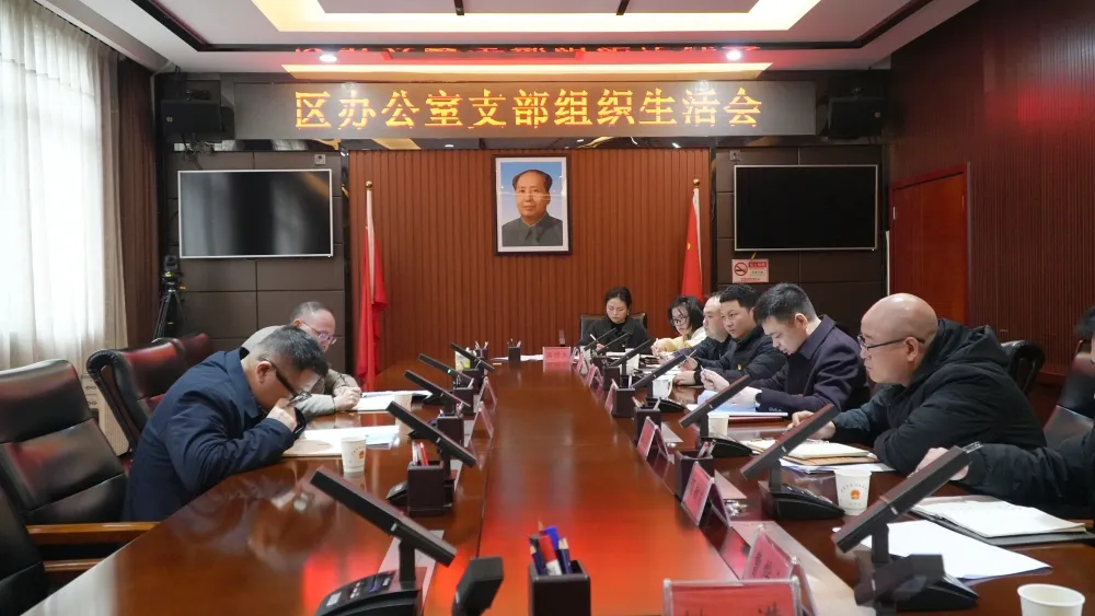 李智勇参加区办公室党支部组织生活会