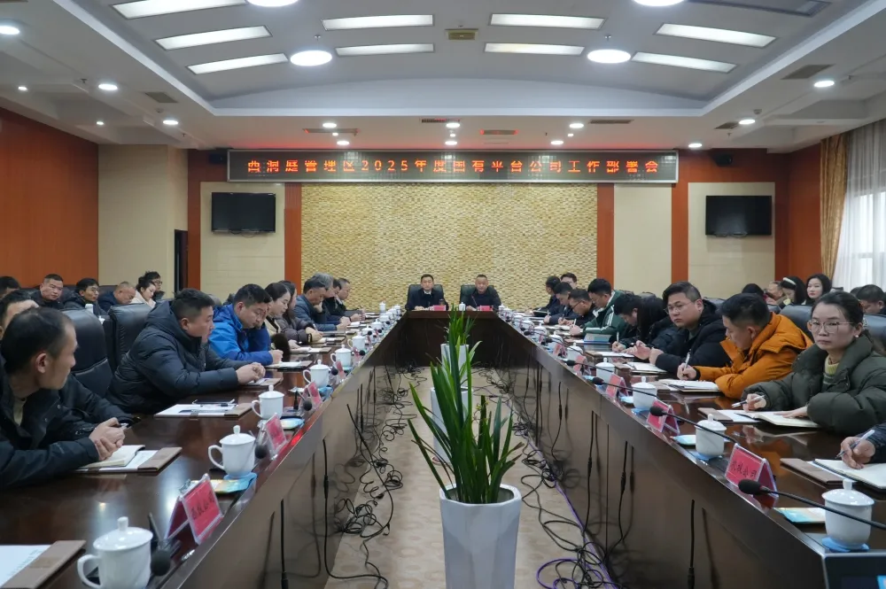 西洞庭管理区2025年度国有平台公司工作部署会召开