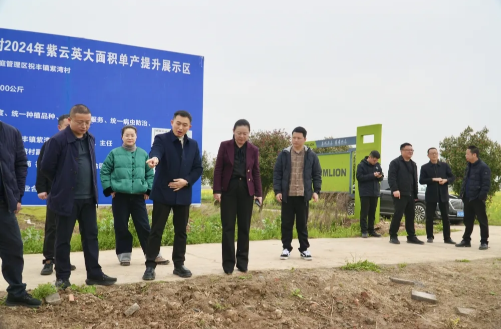 叶春华带队调研全区春耕备耕工作