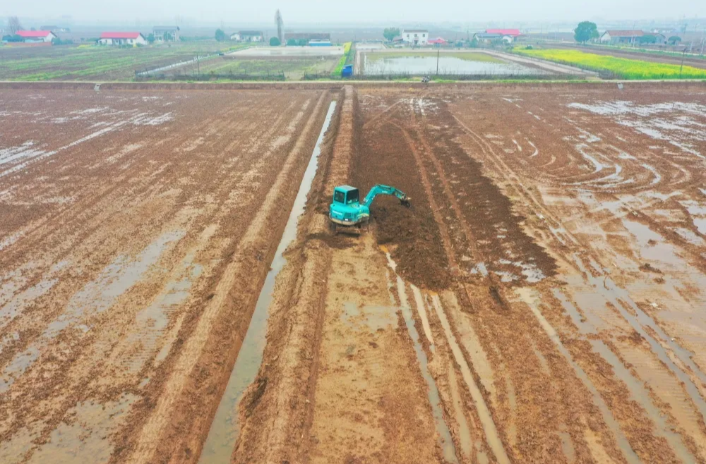 筑牢粮食安全根基！西洞庭： 9000亩高标准农田建设助力春耕生产