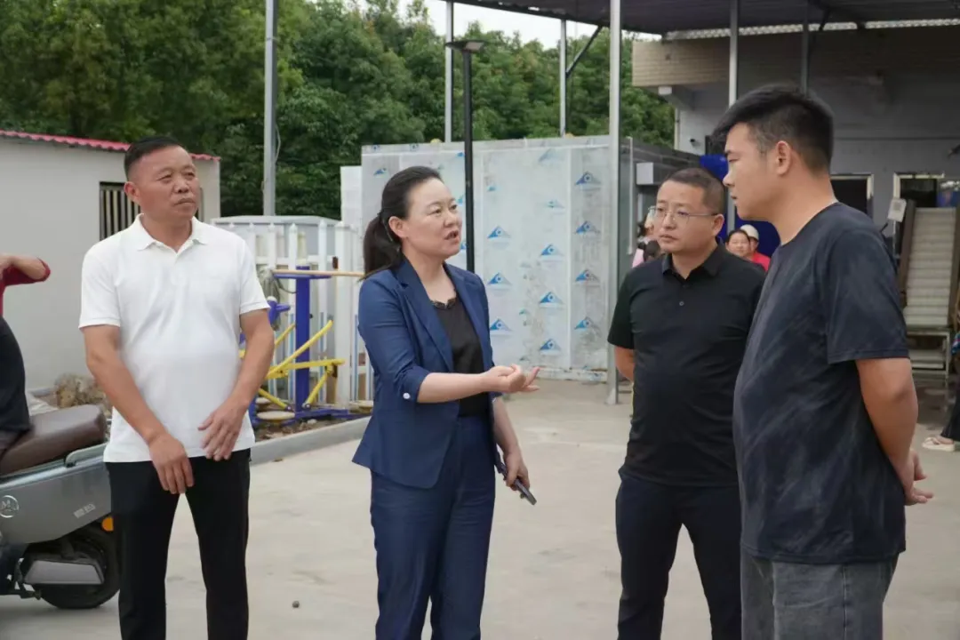 叶春华调研祝丰镇集体经济与农业产业发展工作