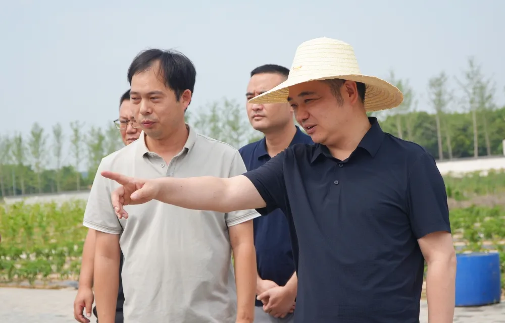 李智勇赴金凤街道督导调研