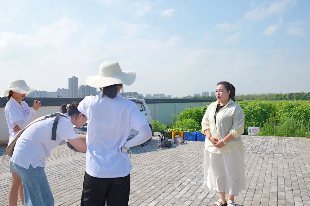 青春筑梦洞庭行｜湖南应用技术学院团队以社会实践助力西洞庭乡村振兴