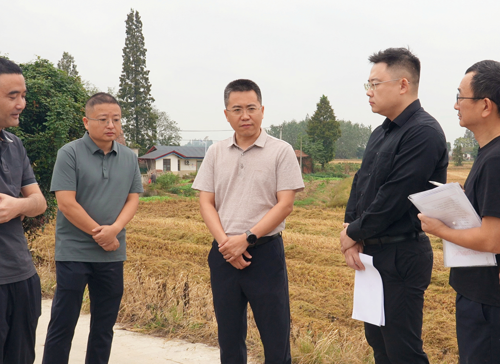 王斌带队督导秸秆综合利用及禁烧工作